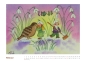 Preview: Bild-Kalender Carina Pencet 2026 - DIN A3 quer
