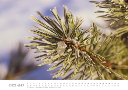 Kalender Frank Hellbrück