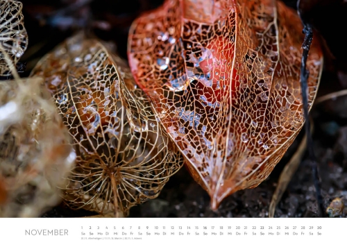 Kalender Frank Hellbrück