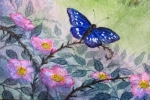 Schmetterling - Postkarte von Carina Pencet